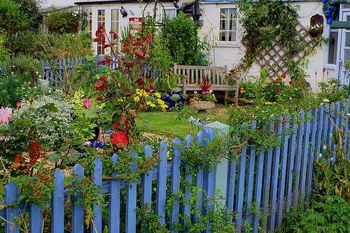 Paint your picket fence, as long as it's not
                    bright