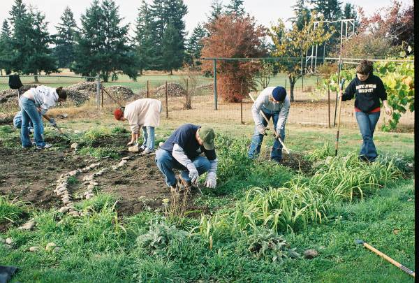 fencing is important for a community garden
                        in the barrio