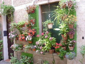 SHUTTERS WITH FLOWER POTS a great
                    LOOK on a PATIO WINDOW